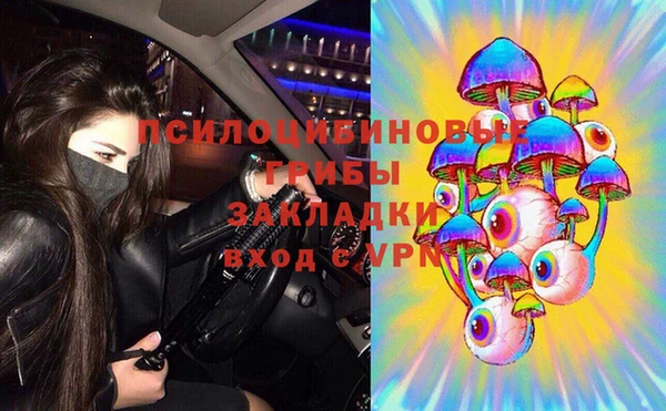 бошки Белокуриха