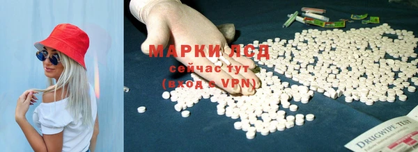 дживик Богданович