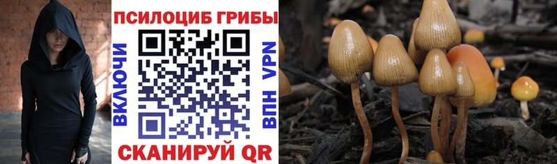 Галлюциногенные грибы Magic Shrooms  Горнозаводск 